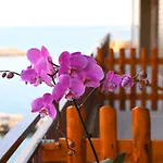 Attico 195 Bed & Breakfast 4*